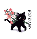 ドット絵 黒猫 40種 定番フレーズ クロネコ（個別スタンプ：39）