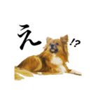森蘭丸くん（個別スタンプ：2）