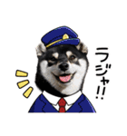 柴犬 黒柴 ちこ（個別スタンプ：5）