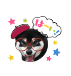 柴犬 黒柴 ちこ（個別スタンプ：7）