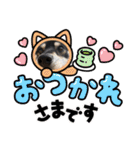 柴犬 黒柴 ちこ（個別スタンプ：14）
