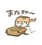 まるねこププ（個別スタンプ：19）