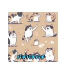 猫のイラストスタンプ 8（個別スタンプ：23）