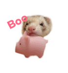 フェレット ととちゃん（個別スタンプ：5）