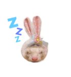 フェレット ととちゃん（個別スタンプ：13）