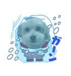 ビションとマルプーです（個別スタンプ：13）