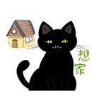 黒猫の家（個別スタンプ：20）