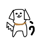 この犬、マルチーズ【第二弾】（個別スタンプ：2）