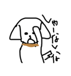 この犬、マルチーズ【第二弾】（個別スタンプ：19）
