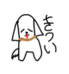 この犬、マルチーズ【第二弾】（個別スタンプ：23）