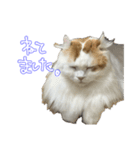 ちゃんましはうす ぱおももにか登場編（個別スタンプ：3）