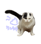 ちゃんましはうす ぱおももにか登場編（個別スタンプ：14）