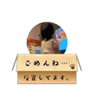 紅華桜華⭐️（個別スタンプ：7）