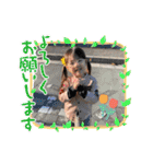 紅華桜華⭐️（個別スタンプ：10）