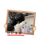紅華桜華⭐️（個別スタンプ：30）