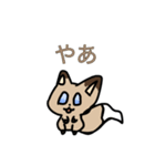 ふわふわ！ショコラくん！（個別スタンプ：1）