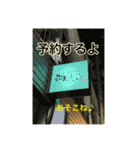 居酒屋おばんざい（個別スタンプ：1）