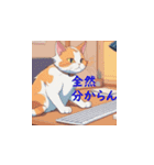 猫とのLINE上で繰り広げられる日常（個別スタンプ：11）