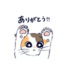 猫様の神々しいスタンプ（個別スタンプ：8）