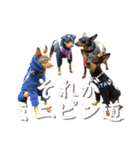 蘭丸先輩6（個別スタンプ：40）
