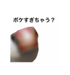 きゅるきゅるなんなんスタンプ（個別スタンプ：1）