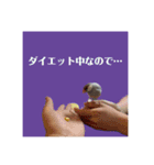 きゅるきゅるなんなんスタンプ（個別スタンプ：2）