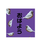 きゅるきゅるなんなんスタンプ（個別スタンプ：13）