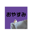 きゅるきゅるなんなんスタンプ（個別スタンプ：14）
