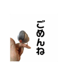 きゅるきゅるなんなんスタンプ（個別スタンプ：16）