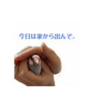 きゅるきゅるなんなんスタンプ（個別スタンプ：19）