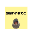 きゅるきゅるなんなんスタンプ（個別スタンプ：22）