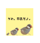 きゅるきゅるなんなんスタンプ（個別スタンプ：23）