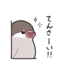 シナモン文鳥ちゃん（個別スタンプ：25）