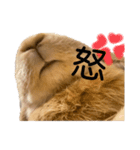 yuzustamp#1（個別スタンプ：4）