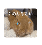 yuzustamp#1（個別スタンプ：5）