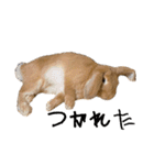 yuzustamp#1（個別スタンプ：7）