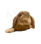 yuzustamp#1（個別スタンプ：8）