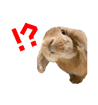 yuzustamp#1（個別スタンプ：9）