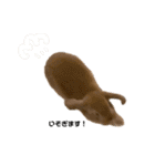 yuzustamp#1（個別スタンプ：10）