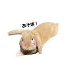 yuzustamp#1（個別スタンプ：11）