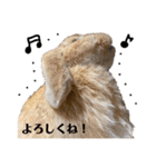 yuzustamp#1（個別スタンプ：13）