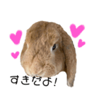 yuzustamp#1（個別スタンプ：14）