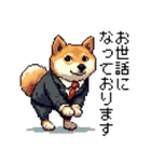 ドット絵 働く 柴犬 社会人 40種（個別スタンプ：3）