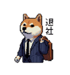 ドット絵 働く 柴犬 社会人 40種（個別スタンプ：10）