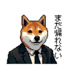 ドット絵 働く 柴犬 社会人 40種（個別スタンプ：19）