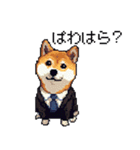 ドット絵 働く 柴犬 社会人 40種（個別スタンプ：29）