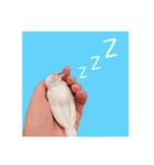 みんなちがってみんないい。とり。（個別スタンプ：8）
