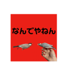 みんなちがってみんないい。とり。（個別スタンプ：12）