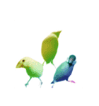 みんなちがってみんないい。とり。（個別スタンプ：13）