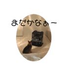 @日常会話スタンプ（個別スタンプ：1）